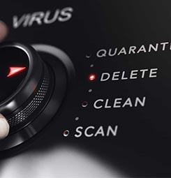 Virus Removal and Cleanup